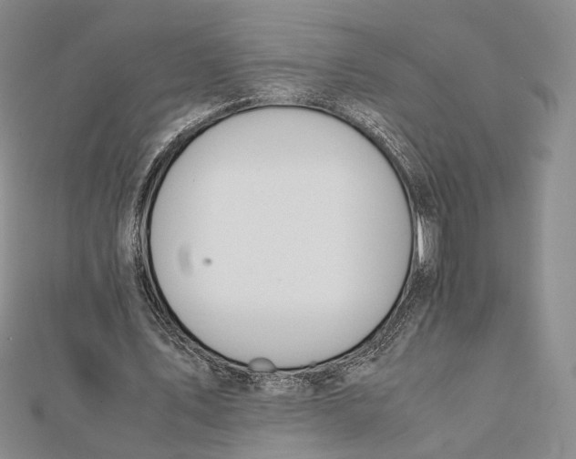 X0000112050579200909010944
