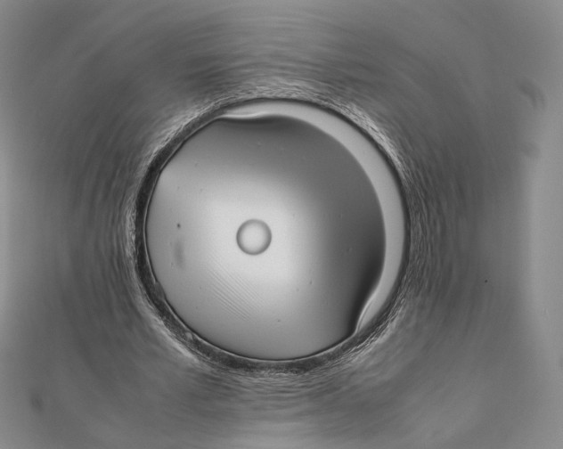 X0000112050581200909010944