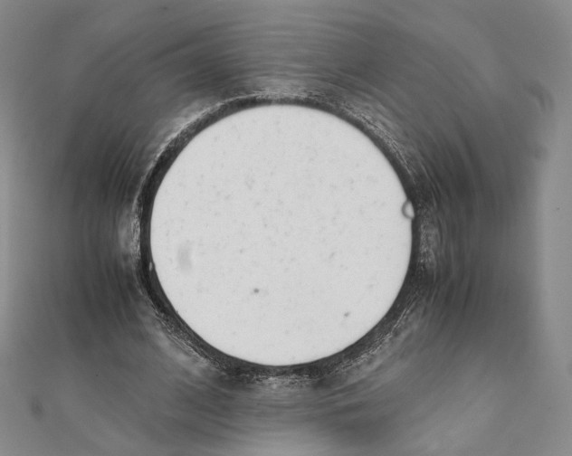 X0000112050584200909010944