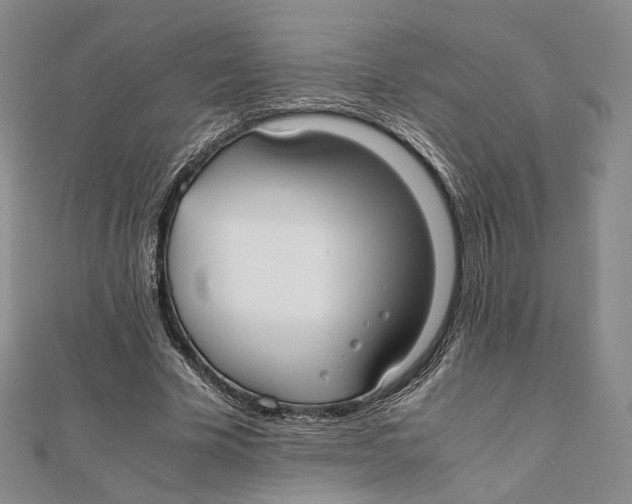 X0000112050585200909010944