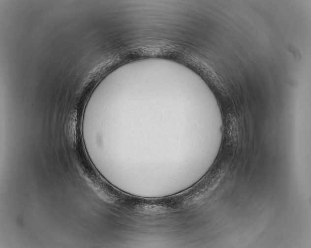 X0000112050590200909010944