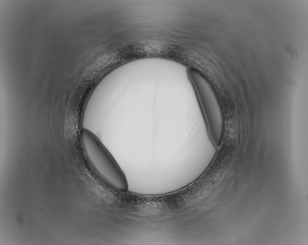 X0000112050593200909010944