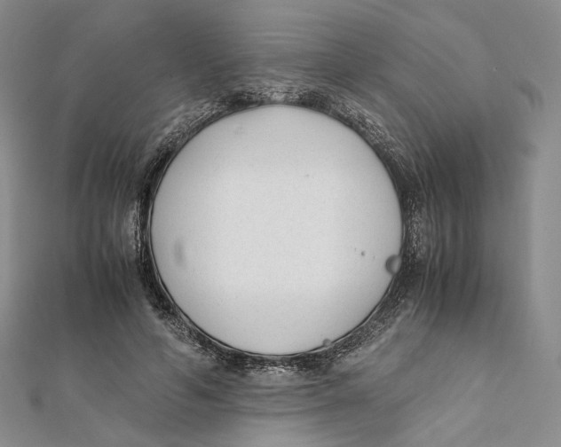 X0000112050594200909010944