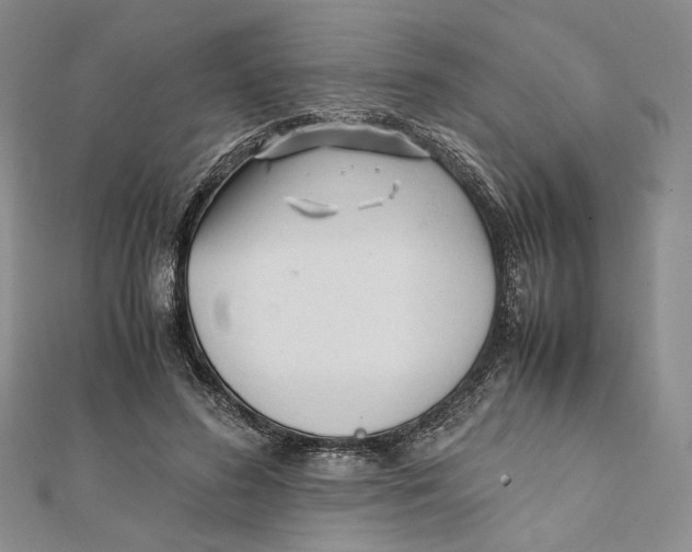 X0000112050596200909010944