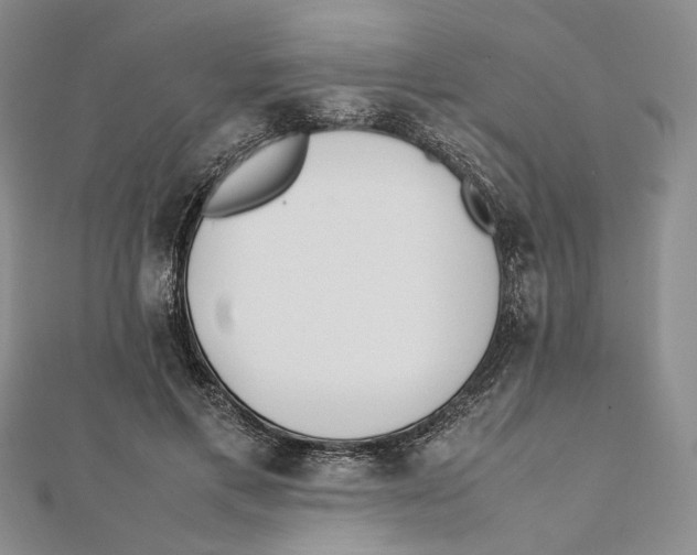 X0000112050597200909010944