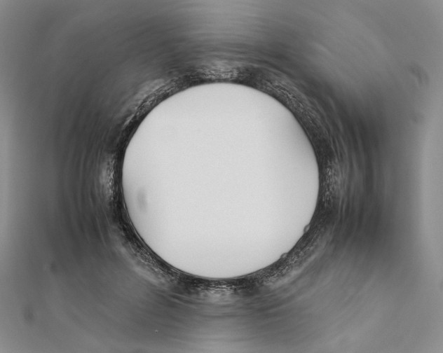 X0000112050600200909010944