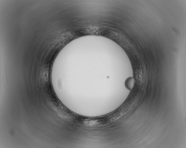 X0000112050602200909010944