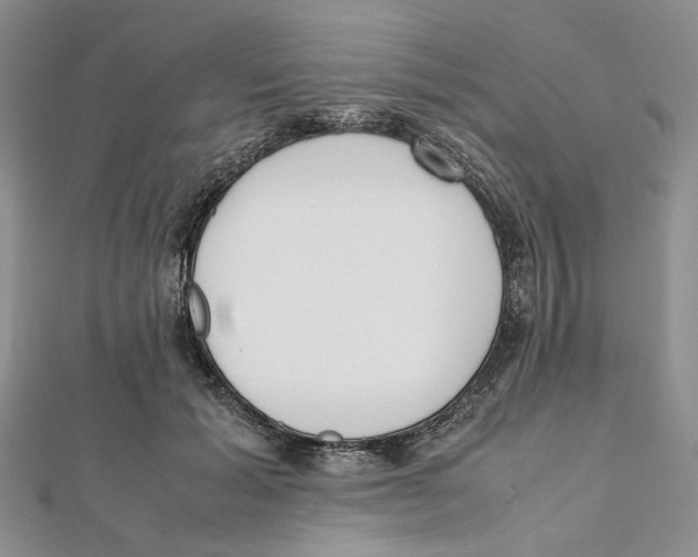 X0000112050605200909010944