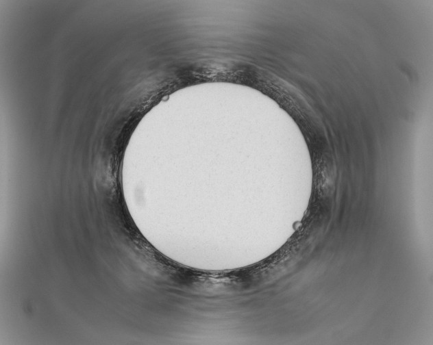 X0000112050607200909010944