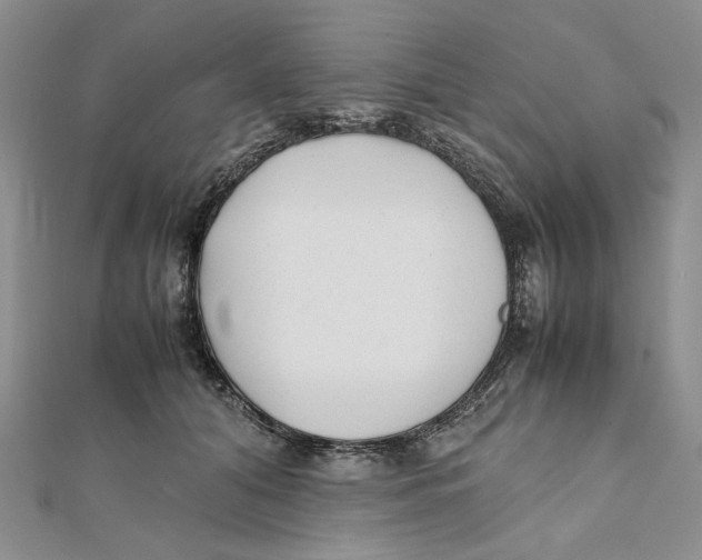 X0000112050608200909010944