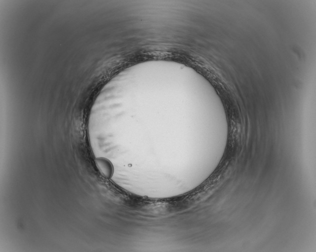 X0000112050609200909010944