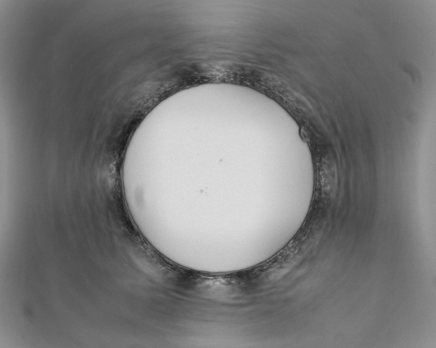 X0000112050611200909010944