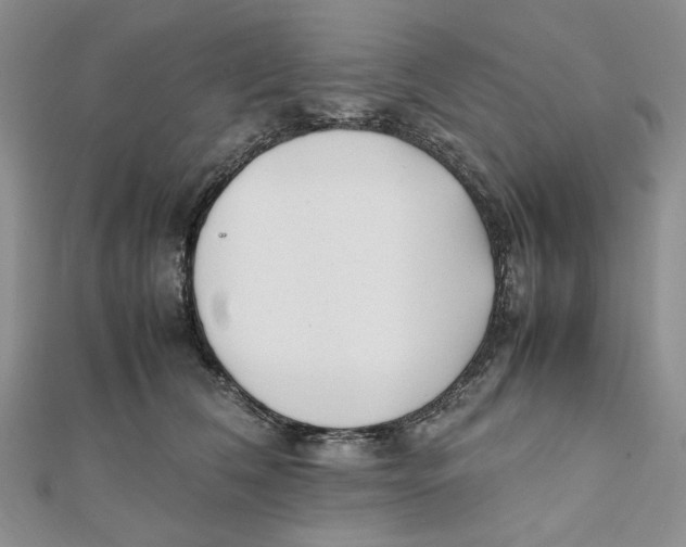 X0000112050612200909010944