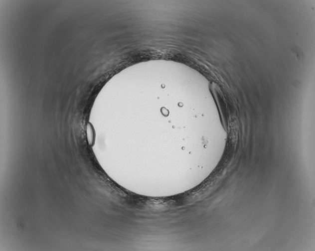 X0000112050613200909010944