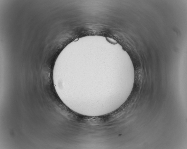 X0000112050615200909010944