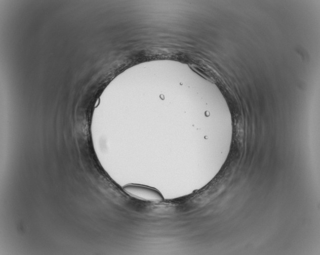 X0000112050617200909010944