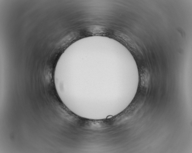 X0000112050618200909010943