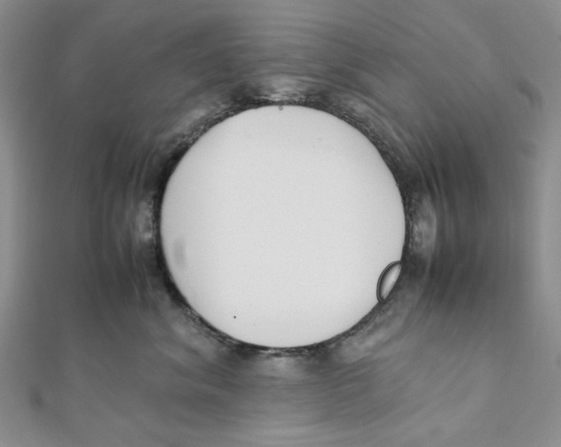 X0000112050620200909010943