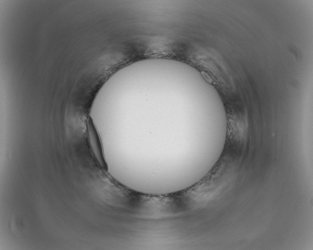 X0000112050621200909010943