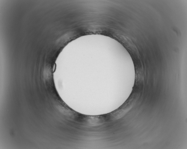 X0000112050623200909010943