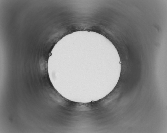 X0000112050624200909010943
