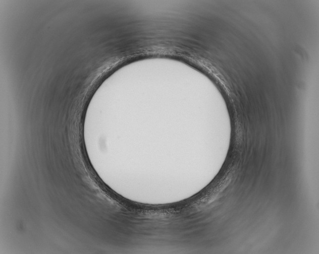 X0000112050625200909010943