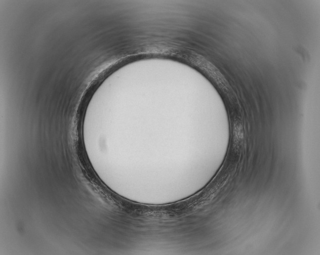 X0000112050628200909010943