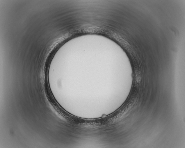 X0000112050630200909010943
