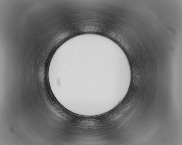 X0000112050631200909010943