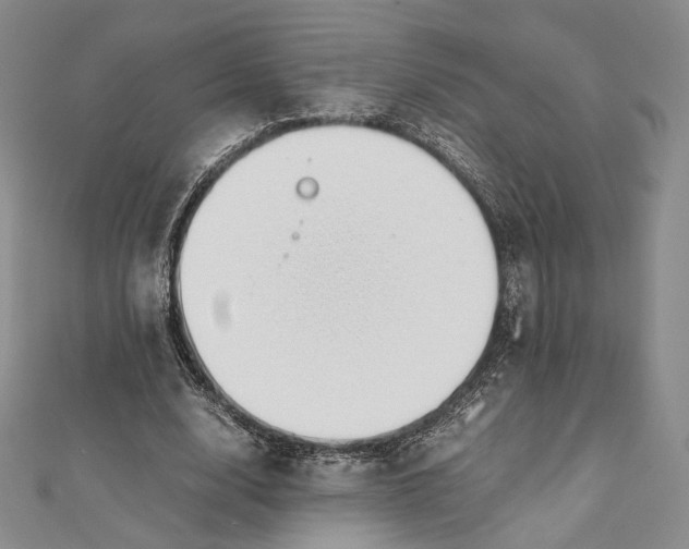 X0000112050632200909010943