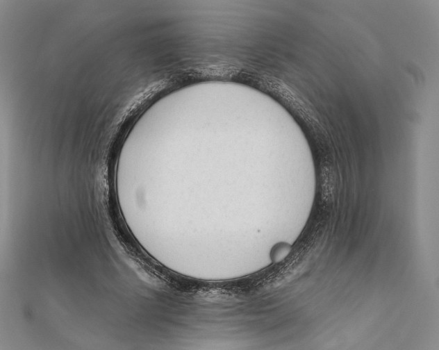 X0000112050634200909010943