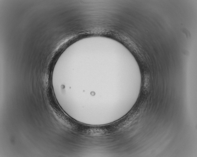 X0000112050636200909010943