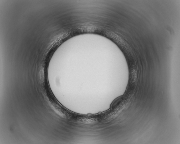 X0000112050638200909010943