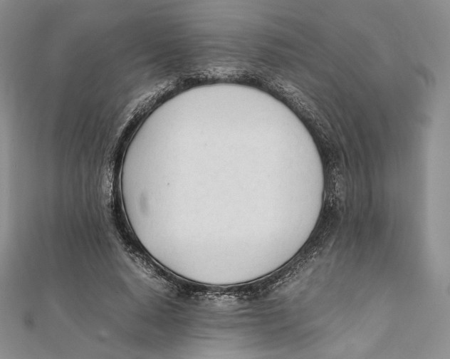 X0000112050640200909010943