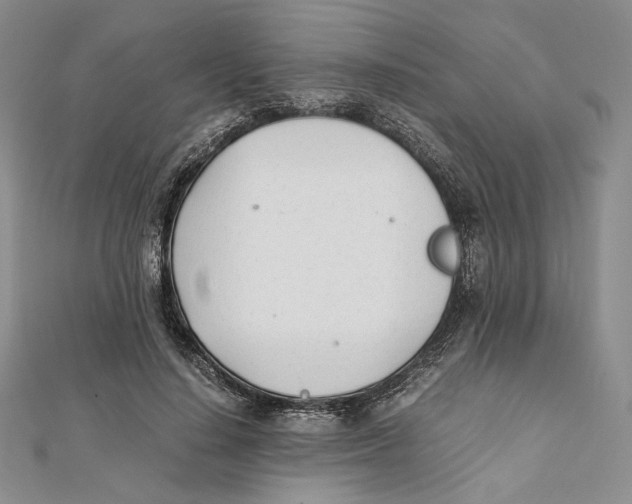X0000112050644200909010943