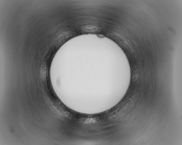 X0000112050647200909010943