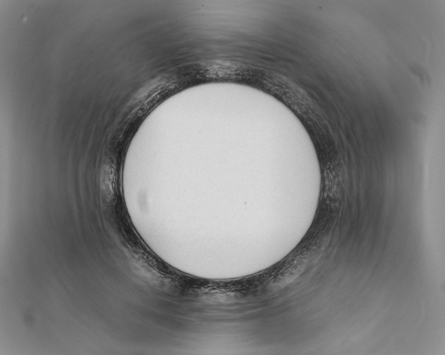 X0000112050648200909010943