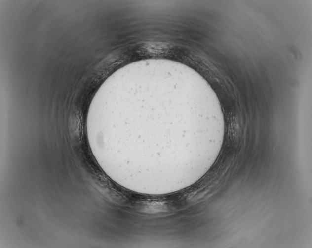 X0000112050651200909010943