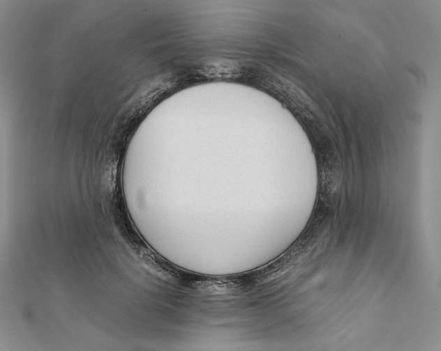 X0000112050652200909010943
