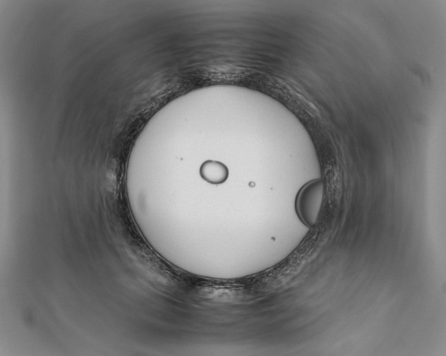 X0000112050655200909010943