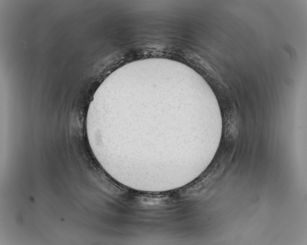 X0000112050661200909010943