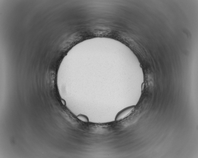 X0000112050664200909010943