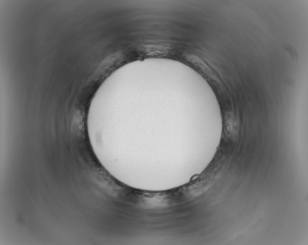 X0000112050667200909010943