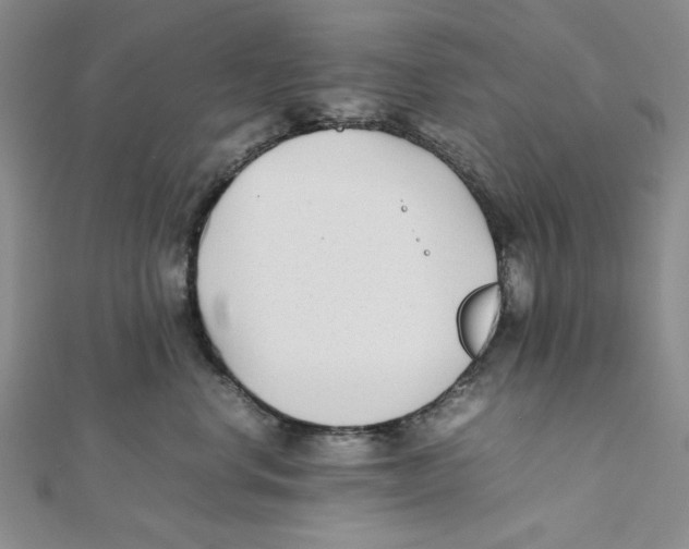 X0000112050668200909010943