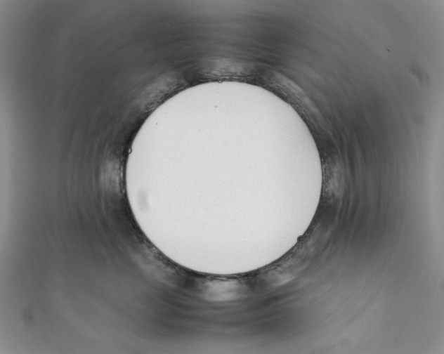 X0000112050669200909010943
