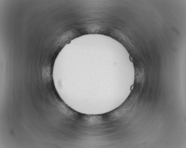 X0000112050670200909010943
