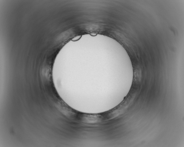 X0000112050671200909010943