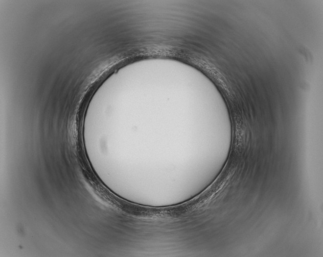 X0000112050674200909010943