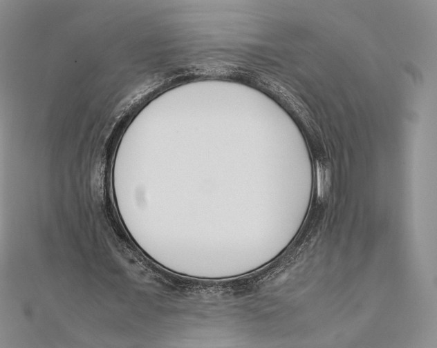 X0000112050675200909010943
