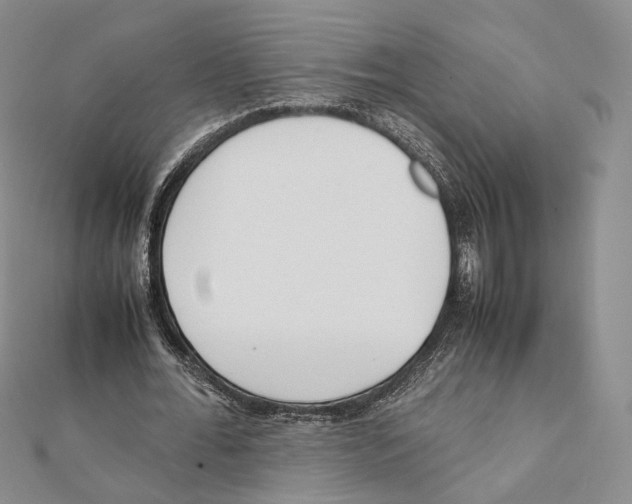 X0000112050676200909010943